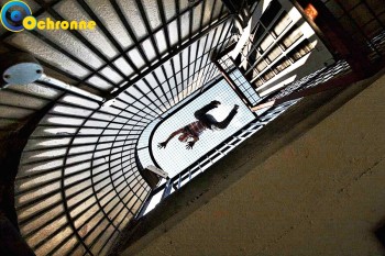 Siatki Choszczno - Siatki na schody wykonane są z polipropylenu, który posiada dużo pozytywnych cech. dla terenów Choszczna